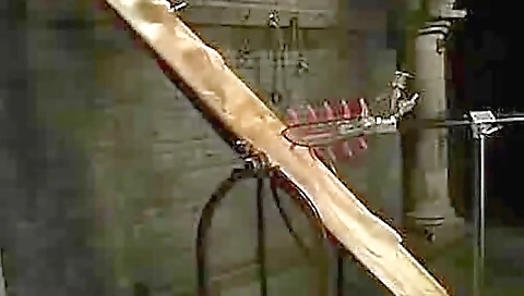 Vacbed And Tongue Machine