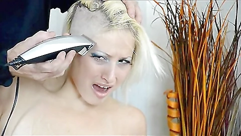 Slave Shaved Bald Slave Shaved Bald