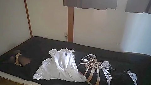 Japanese Maid