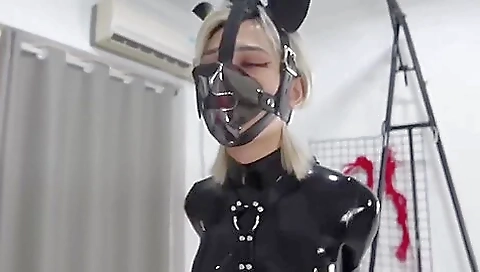 Latex Dog Latex Dog