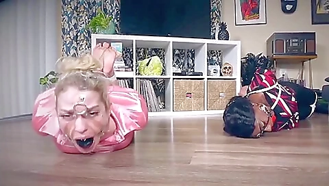 Licking, Hogtie And Harness Gag