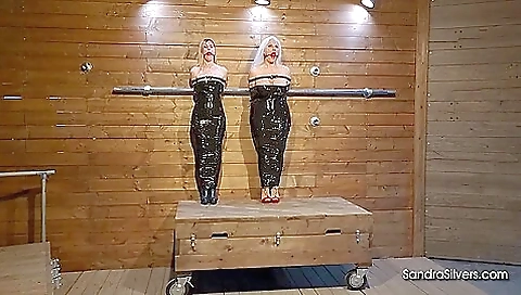 Sandra Cat Ami Boomer 2 Sandra Cat Ami Boomer 2