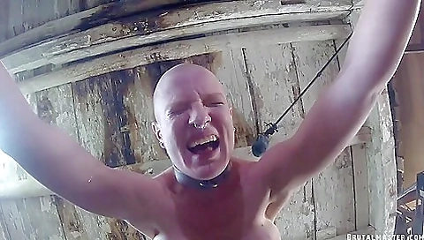 Master - Greyhound Broken On The Barrel Master - Greyhound Broken On The Barrel