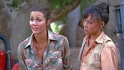 Fight And Bondage - Lynda Carter Fight And Bondage - Lynda Carter