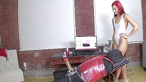 The Milking Machine The Milking Machine