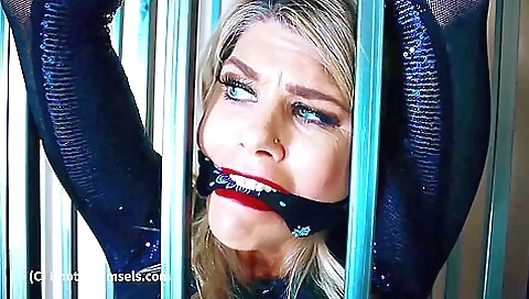 Display Case Display Case