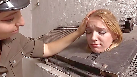 Prisoner Boxed
